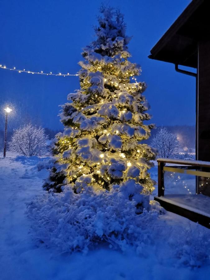 Kiurunrinne Villas Virasoja Exteriör bild