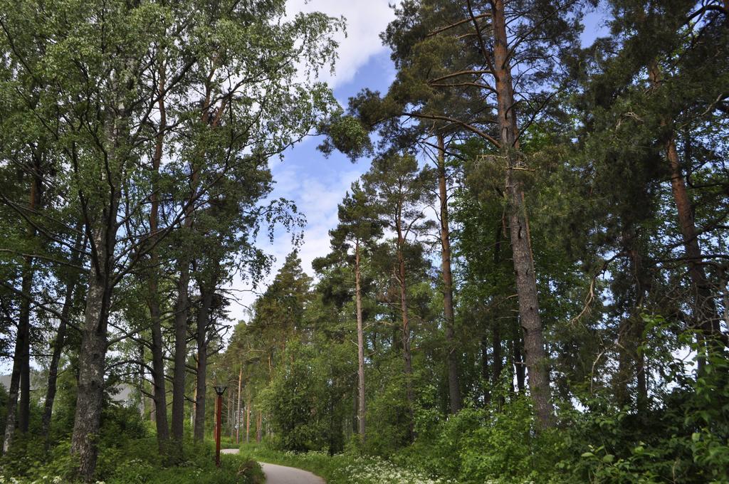 Kiurunrinne Villas Virasoja Exteriör bild